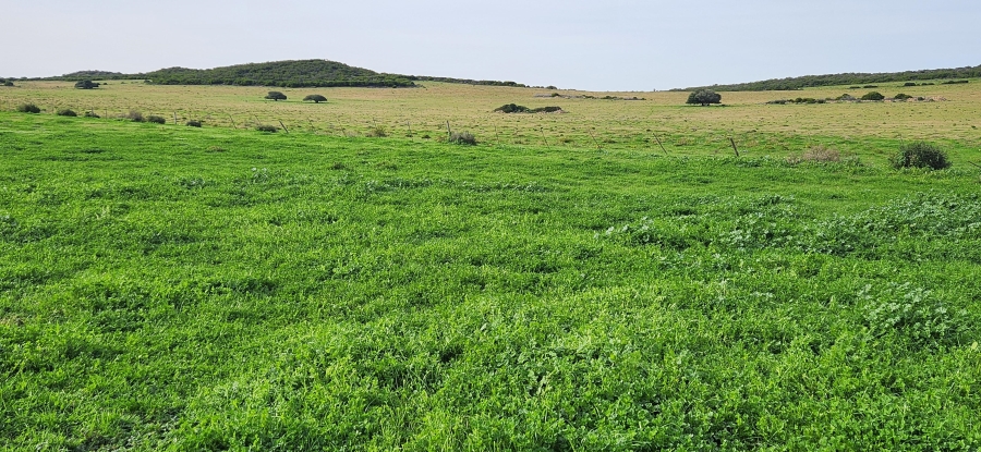 0 Bedroom Property for Sale in Riversdale Rural Western Cape